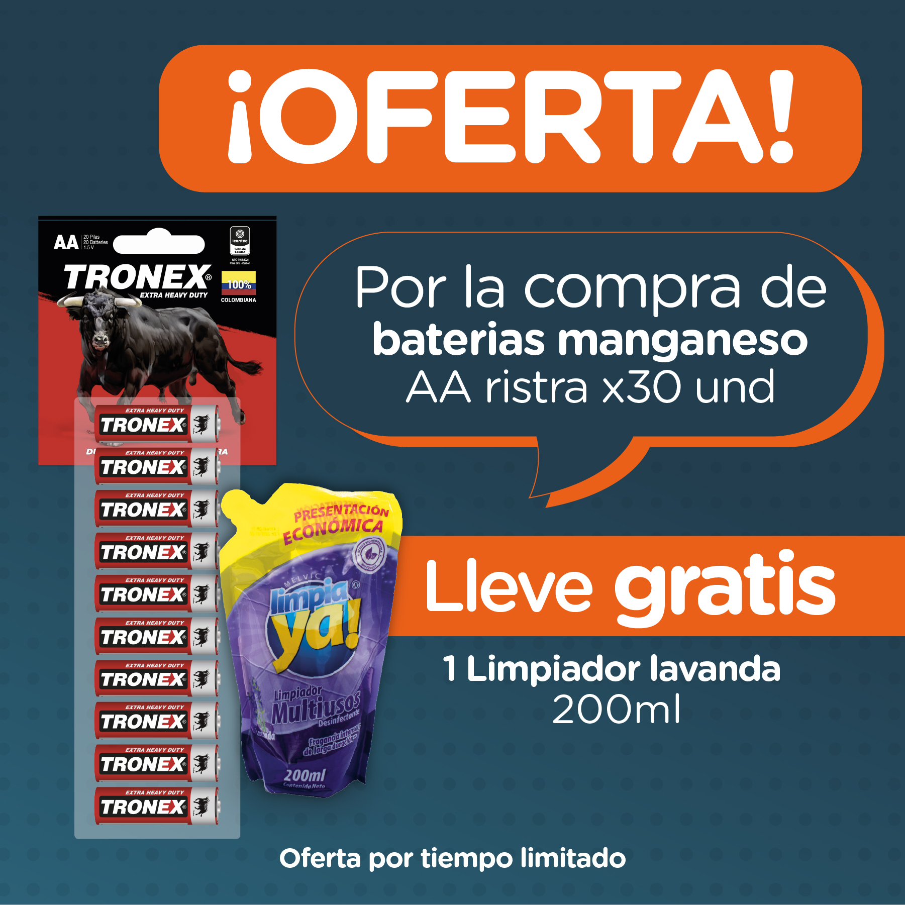 Compra Ristra x30 Pilas AA Manganeso y Lleva Limpiador lavanda 200ml