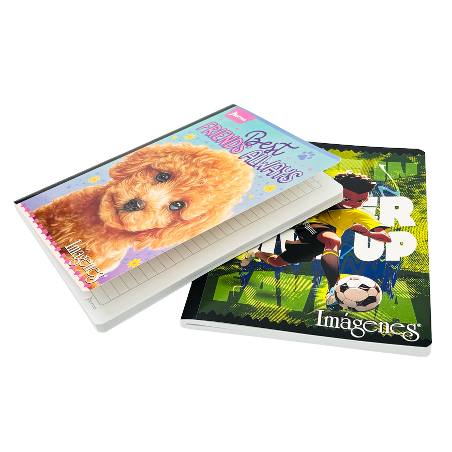 Cuaderno Escolar Rayado 100 Hojas