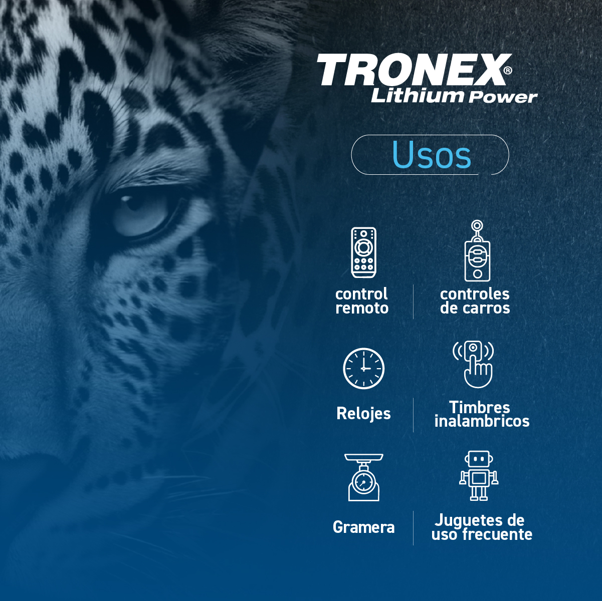 Pila de Litio Tronex CR2032