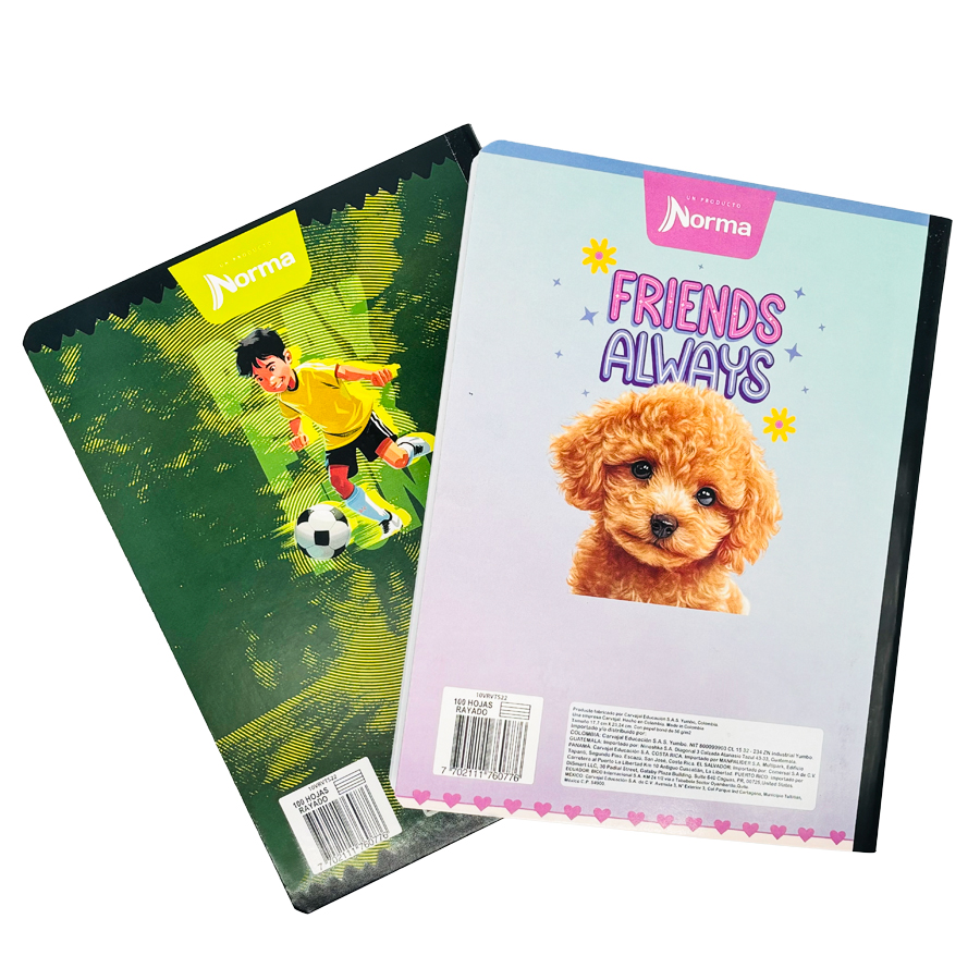Cuaderno Escolar Rayado 100 Hojas